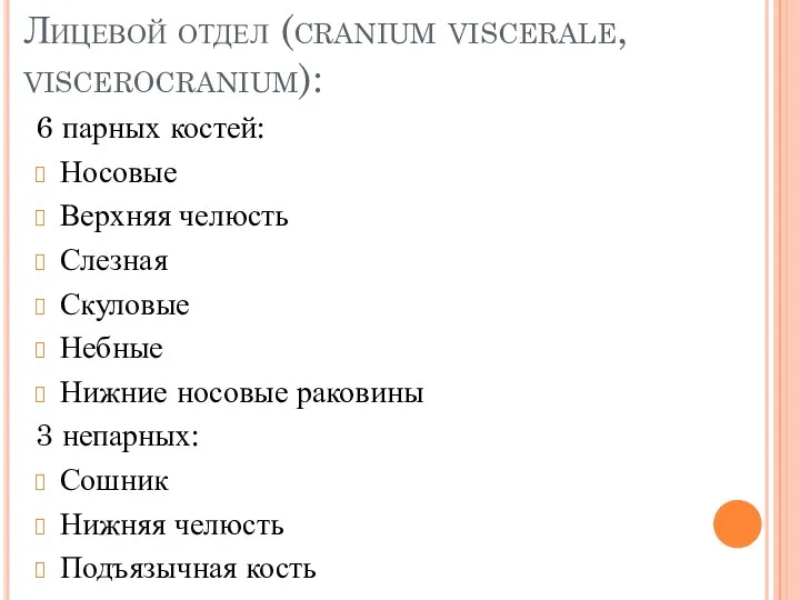 Лицевой отдел (cranium viscerale, viscerocranium): 6 парных костей: Носовые Верхняя