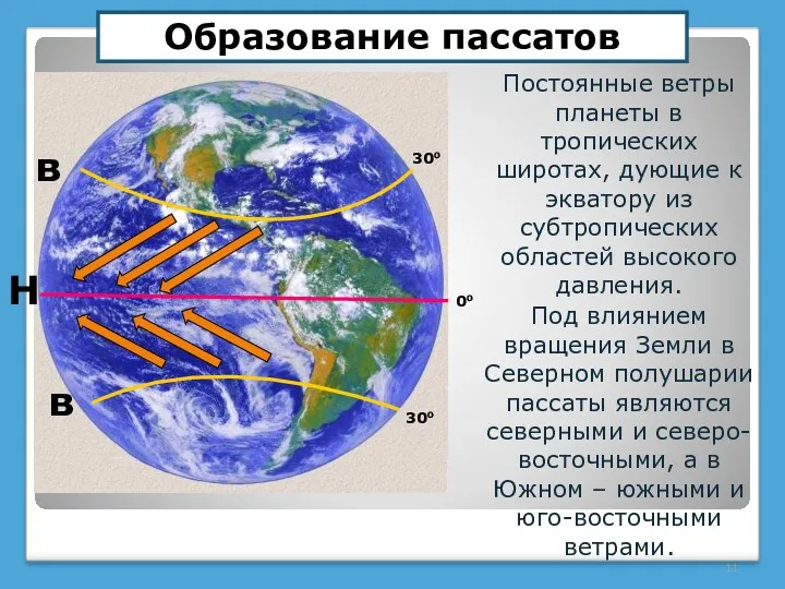 Постоянные ветры планеты в тропических широтах, дующие к экватору из