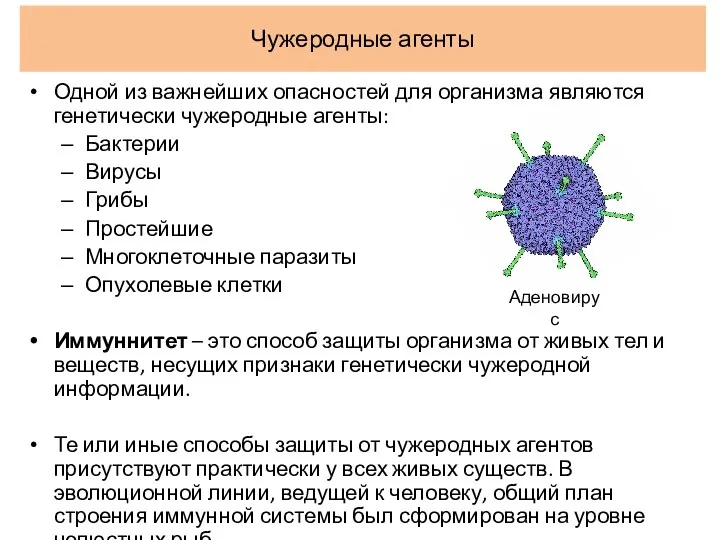 Одной из важнейших опасностей для организма являются генетически чужеродные агенты: Бактерии Вирусы Грибы