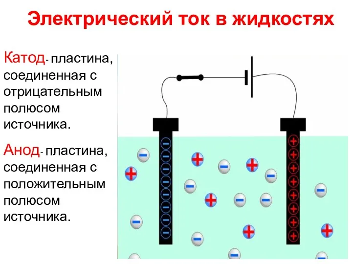 Электрический ток в жидкостях Катод- пластина, соединенная с отрицательным полюсом