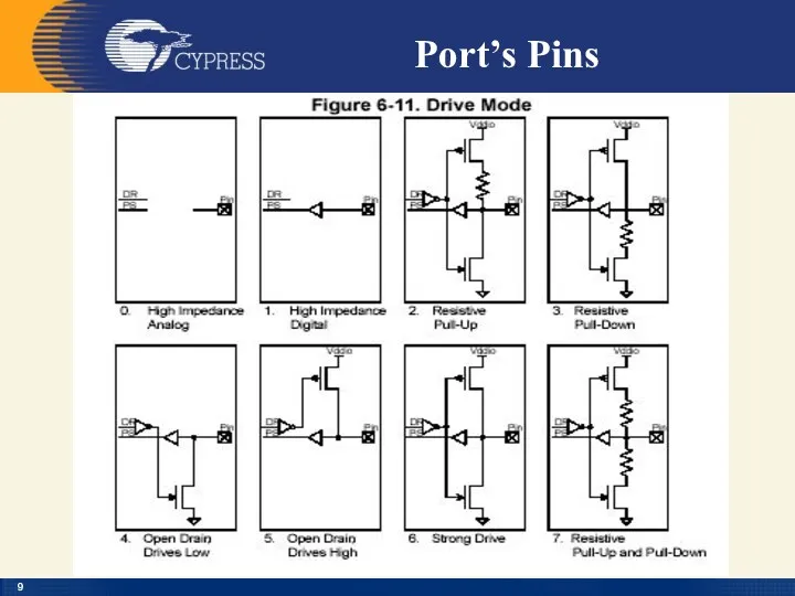 Port’s Pins