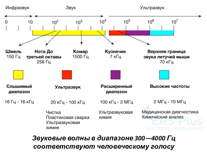 Зву­ковые волны в диапазоне 300—4000 Гц соответствуют человеческому голосу