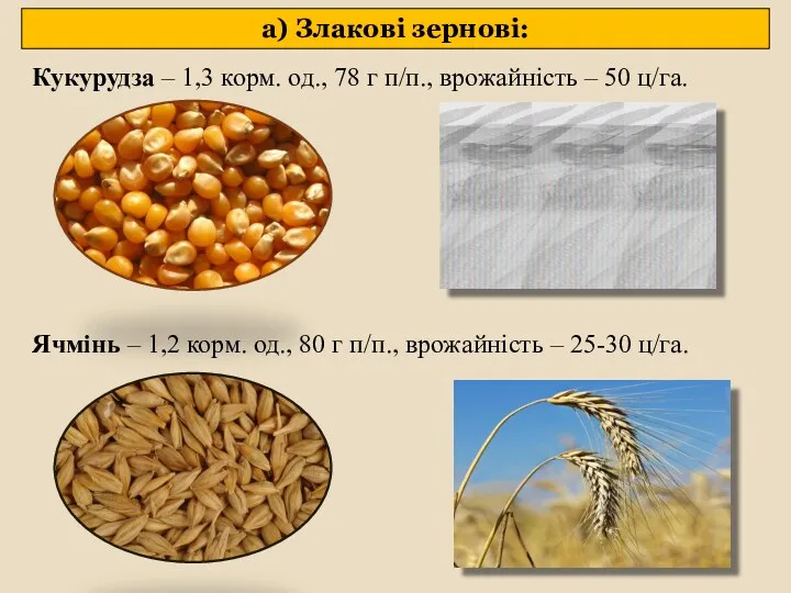 Кукурудза – 1,3 корм. од., 78 г п/п., врожайність – 50 ц/га. Ячмінь