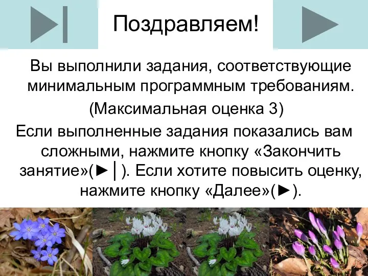 Поздравляем! Вы выполнили задания, соответствующие минимальным программным требованиям. (Максимальная оценка