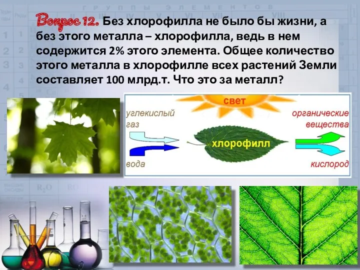 Вопрос 12. Без хлорофилла не было бы жизни, а без