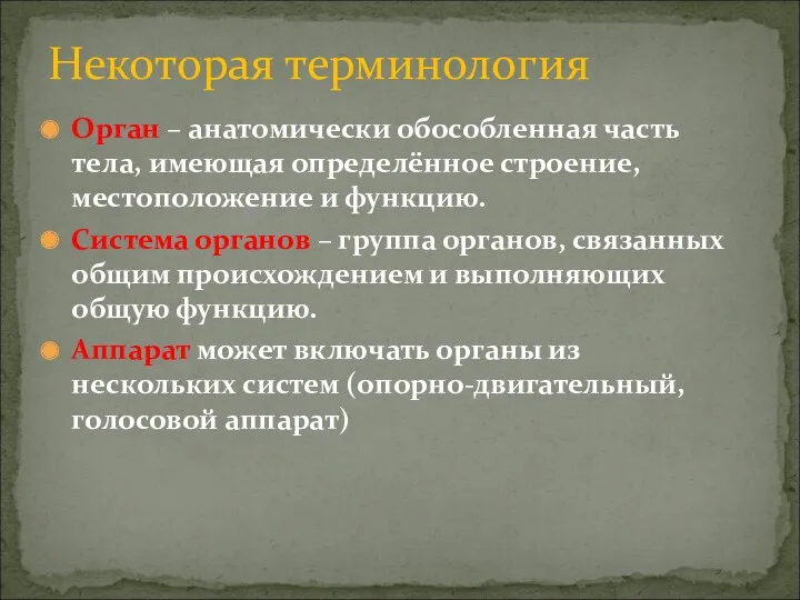 Некоторая терминология Орган – анатомически обособленная часть тела, имеющая определённое строение, местоположение и