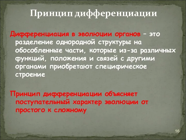 Дифференциация в эволюции органов – это разделение однородной структуры на обособленные части, которые