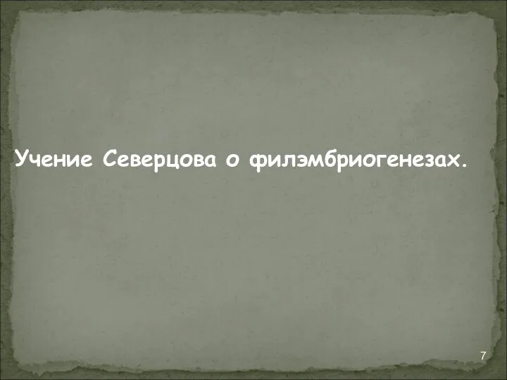 Учение Северцова о филэмбриогенезах.