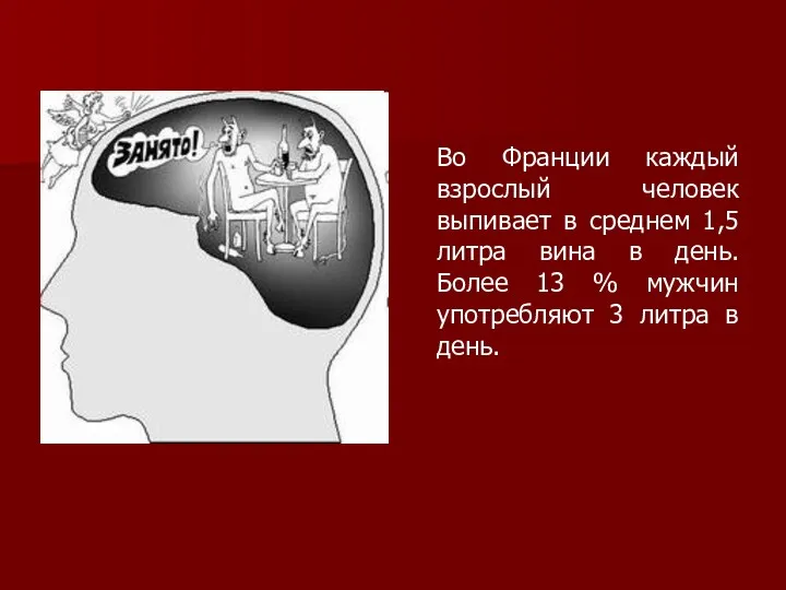 Во Франции каждый взрослый человек выпивает в среднем 1,5 литра