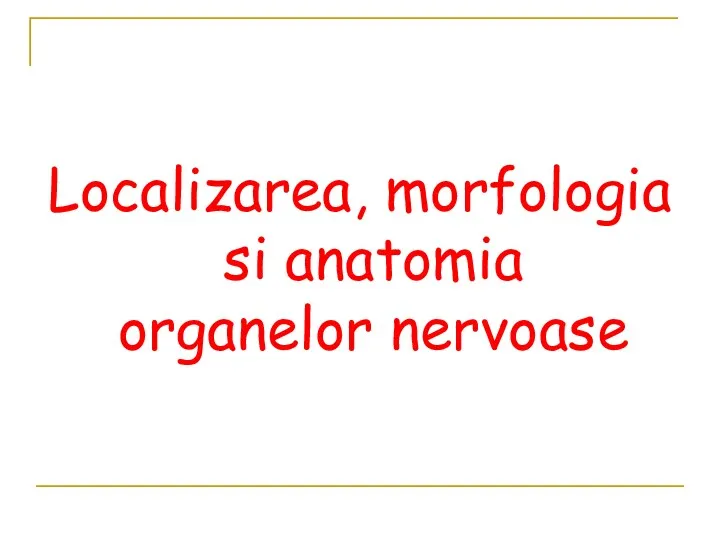 Localizarea, morfologia si anatomia organelor nervoase