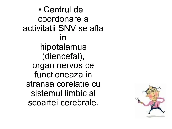 Centrul de coordonare a activitatii SNV se afla in hipotalamus