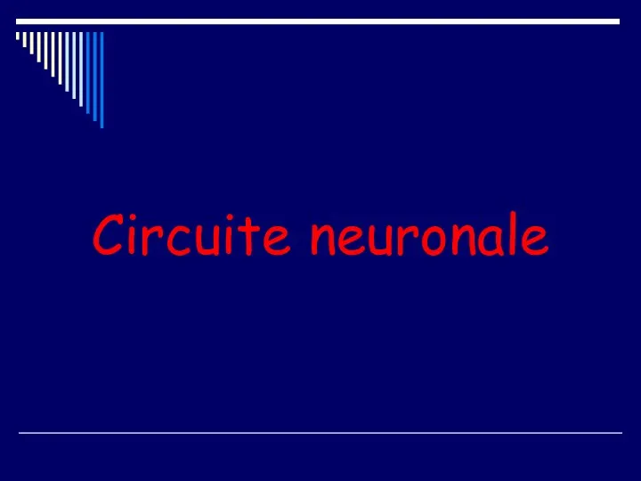 Circuite neuronale