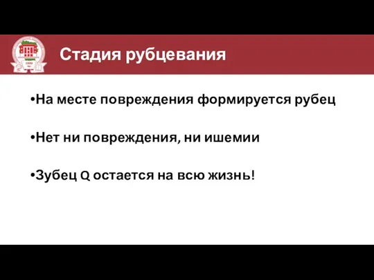 Стадия рубцевания На месте повреждения формируется рубец Нет ни повреждения,