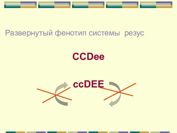 Развернутый фенотип системы резус ССDee ccDEE