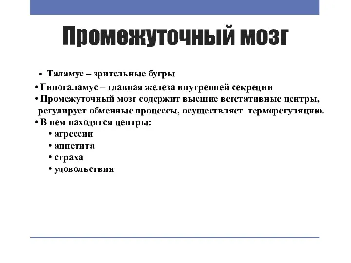 Промежуточный мозг Таламус – зрительные бугры Гипоталамус – главная железа