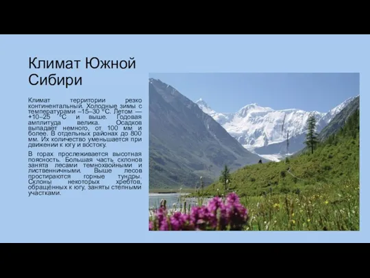 Климат Южной Сибири Климат территории резко континентальный. Холодные зимы с