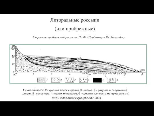 Литоральные россыпи (или прибрежные) 1 - мелкий песок, 2 -