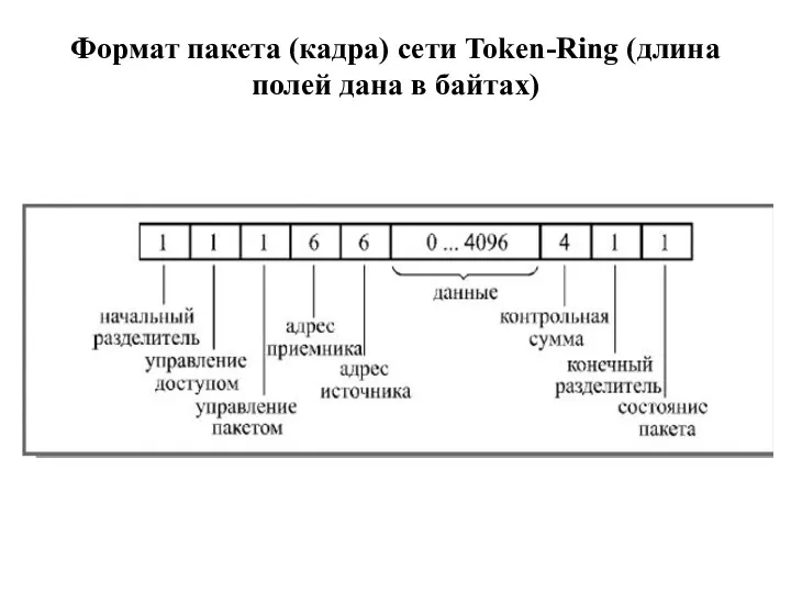 Формат пакета (кадра) сети Token-Ring (длина полей дана в байтах)