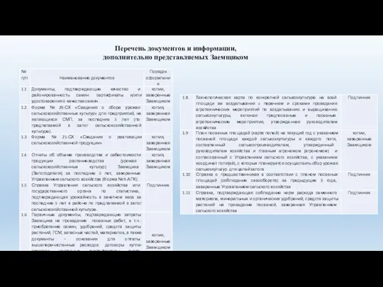 Перечень документов и информации, дополнительно представляемых Заемщиком