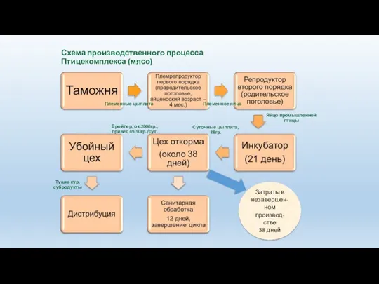 Схема производственного процесса Птицекомплекса (мясо) Затраты в незавершен-ном производ-стве 38