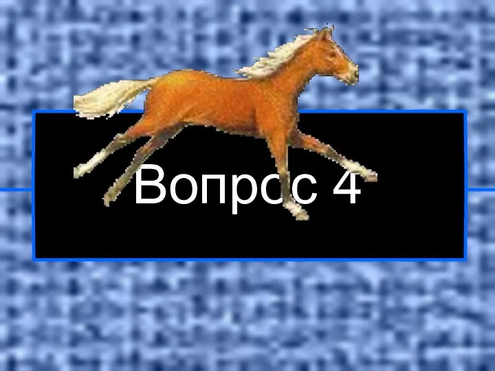 Вопрос 4