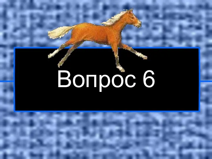 Вопрос 6