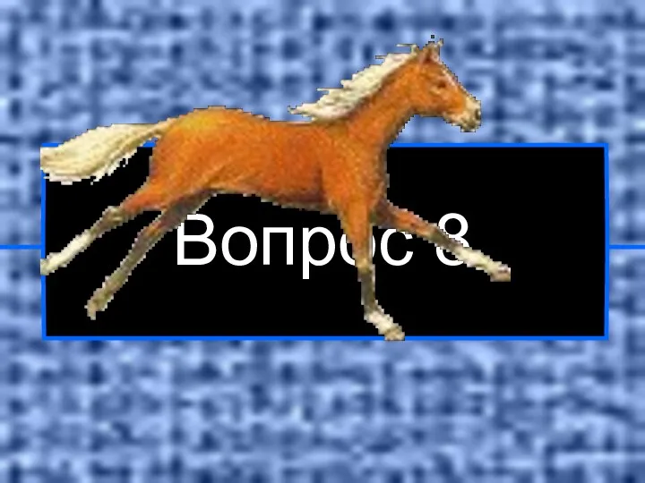 Вопрос 8