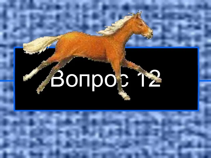 Вопрос 12