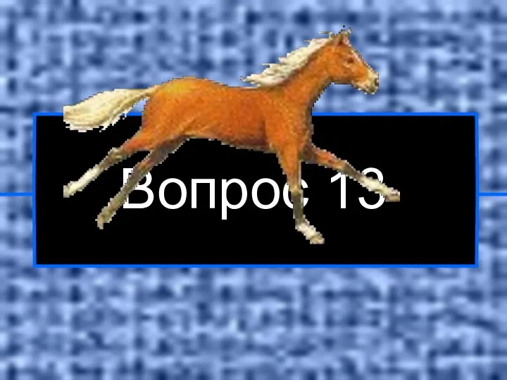 Вопрос 13