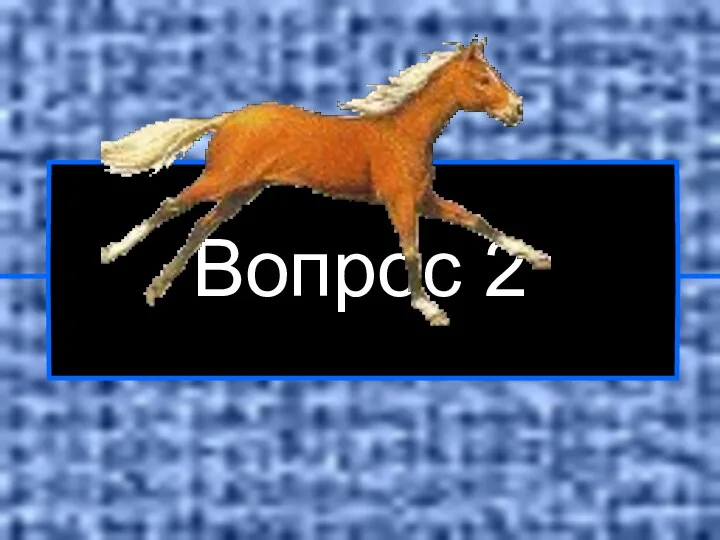 Вопрос 2