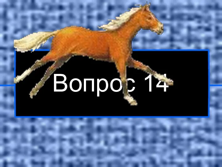 Вопрос 14