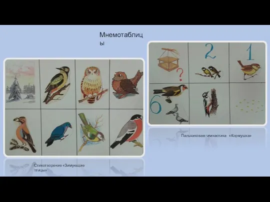 Стихотворение «Зимующие птицы» Пальчиковая гимнастика «Кормушка» Мнемотаблицы