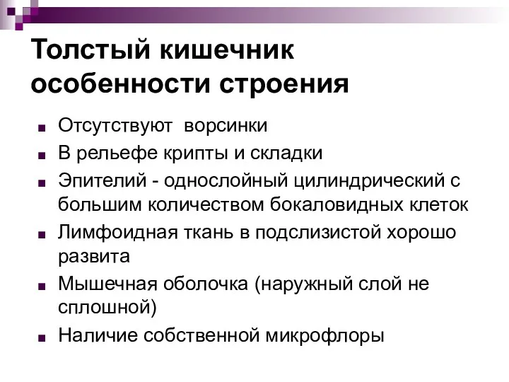 Толстый кишечник особенности строения Отсутствуют ворсинки В рельефе крипты и