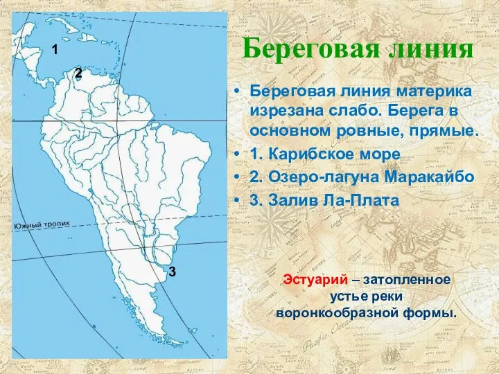 Береговая линия Береговая линия материка изрезана слабо. Берега в основном