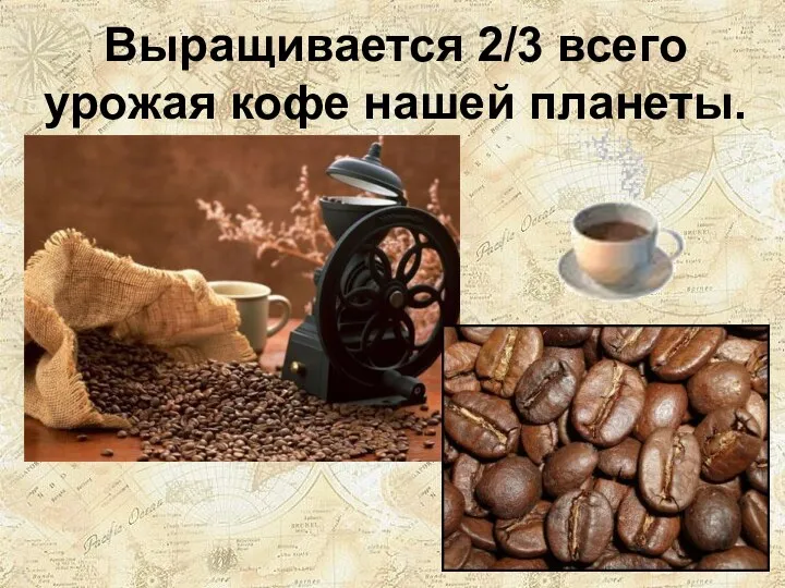 Выращивается 2/3 всего урожая кофе нашей планеты.