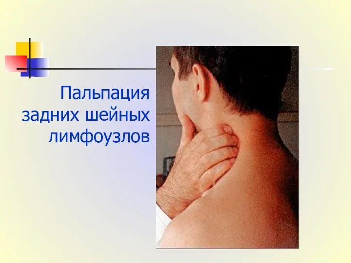 Пальпация задних шейных лимфоузлов