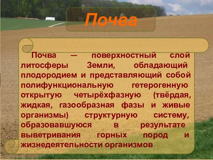 Почва — поверхностный слой литосферы Земли, обладающий плодородием и представляющий