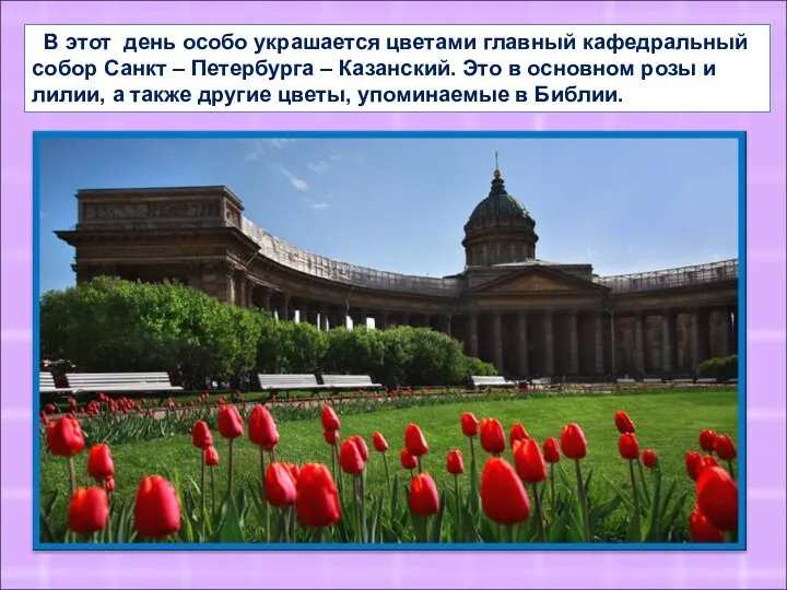 В этот день особо украшается цветами главный кафедральный собор Санкт – Петербурга –