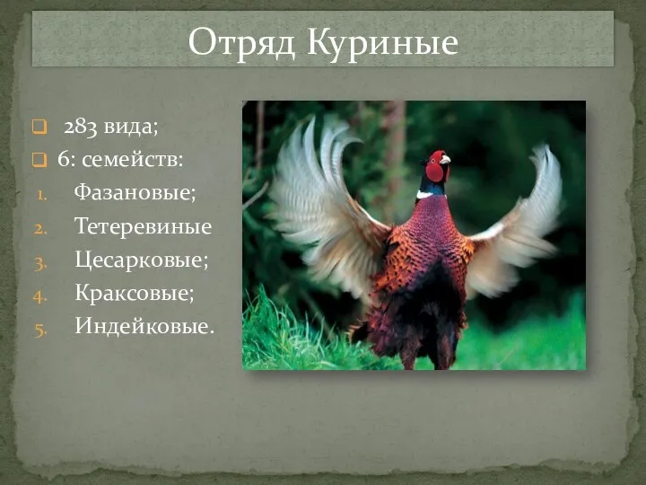 283 вида; 6: семейств: Фазановые; Тетеревиные Цесарковые; Краксовые; Индейковые. Отряд Куриные