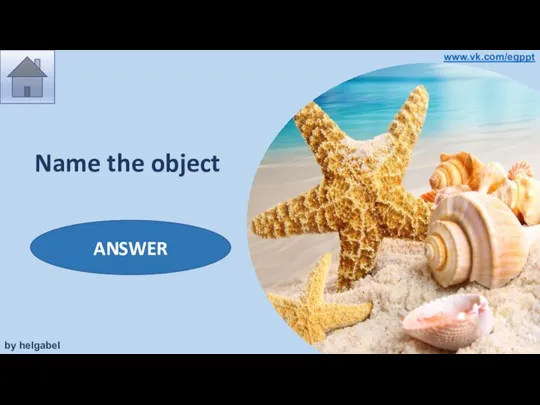 Name the object shells & starfish ANSWER by helgabel www.vk.com/egppt