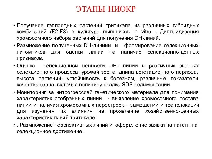 ЭТАПЫ НИОКР Получение гаплоидных растений тритикале из различных гибридных комбинаций (F2-F3) в культуре