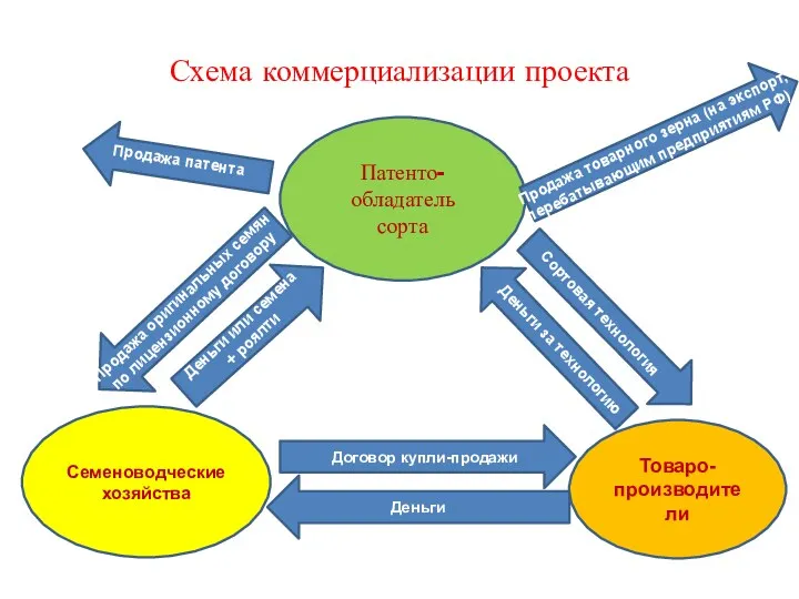 Патенто-обладатель сорта Семеноводческие хозяйства Товаро-производители Продажа патента Схема коммерциализации проекта Продажа оригинальных семян