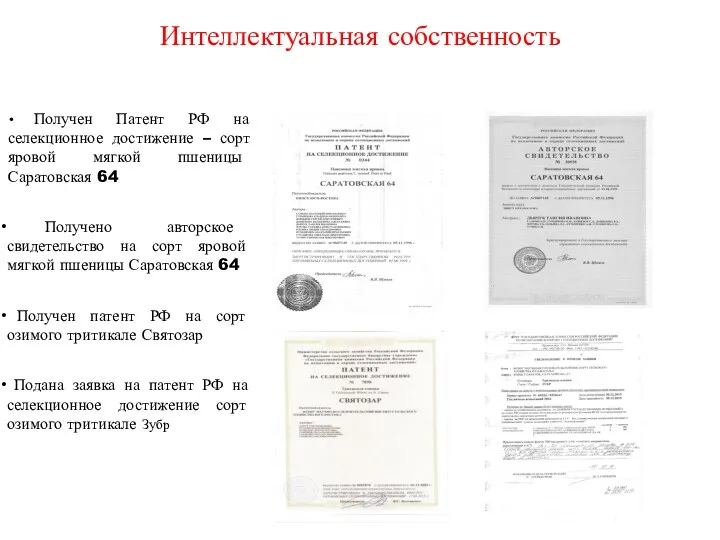 Интеллектуальная собственность Получен Патент РФ на селекционное достижение – сорт