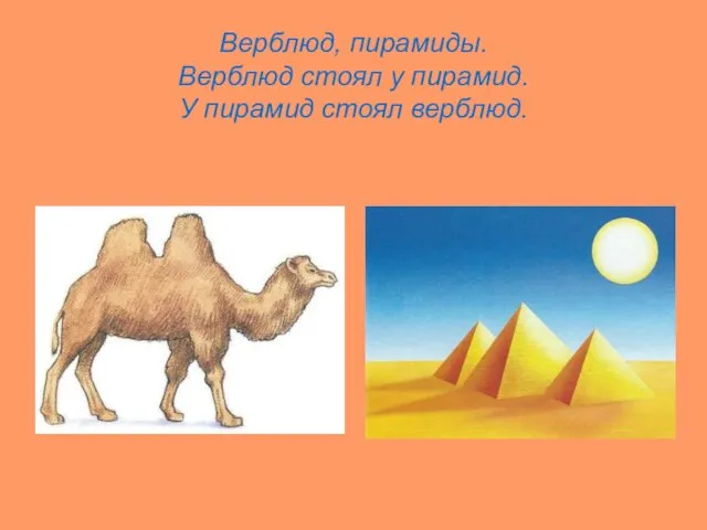 Верблюд, пирамиды. Верблюд стоял у пирамид. У пирамид стоял верблюд.