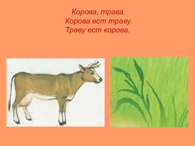 Корова, трава. Корова ест траву. Траву ест корова.