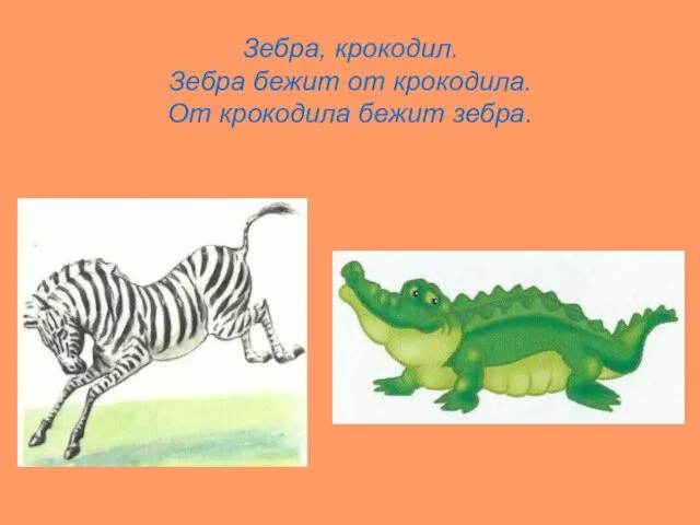 Зебра, крокодил. Зебра бежит от крокодила. От крокодила бежит зебра.