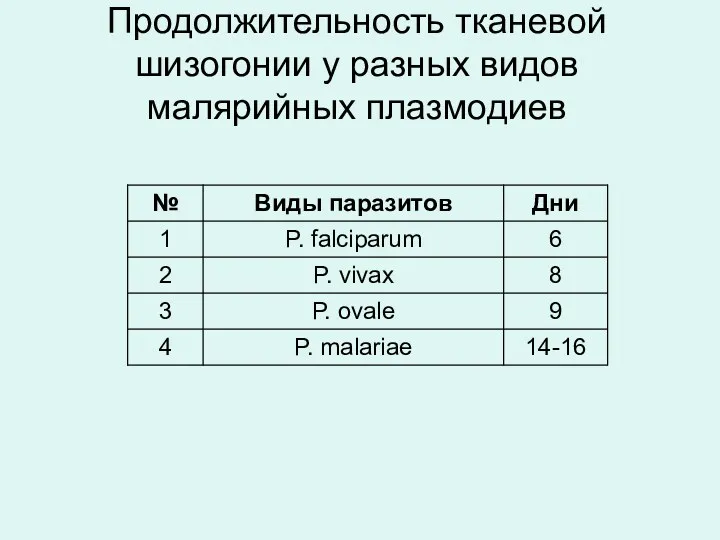 Продолжительность тканевой шизогонии у разных видов малярийных плазмодиев