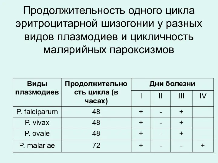 Продолжительность одного цикла эритроцитарной шизогонии у разных видов плазмодиев и цикличность малярийных пароксизмов