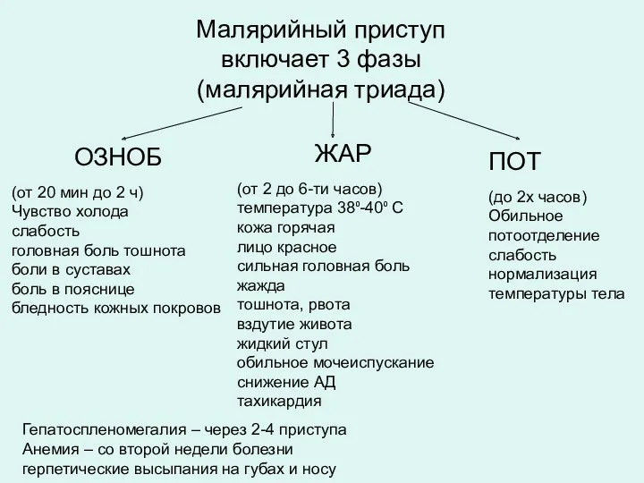 Малярийный приступ включает 3 фазы (малярийная триада) ОЗНОБ (от 20