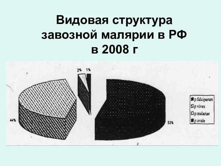 Видовая структура завозной малярии в РФ в 2008 г